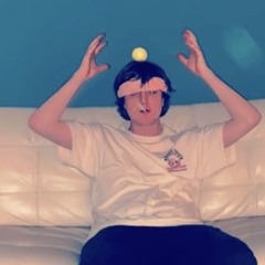 GOLDEN RETRIEVER . MP3