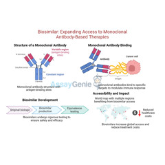 Biosimilar Expanding Access to Monoclonal Antibody-Based Therapies