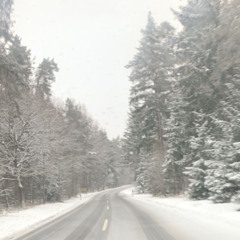 No Snow Today