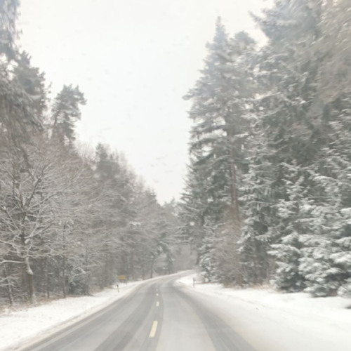 No Snow Today