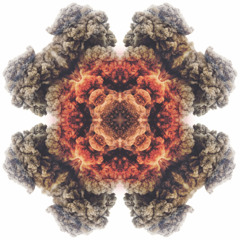 Paradise (Remastered)