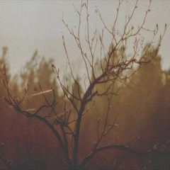 Transience (feat. Leavv)