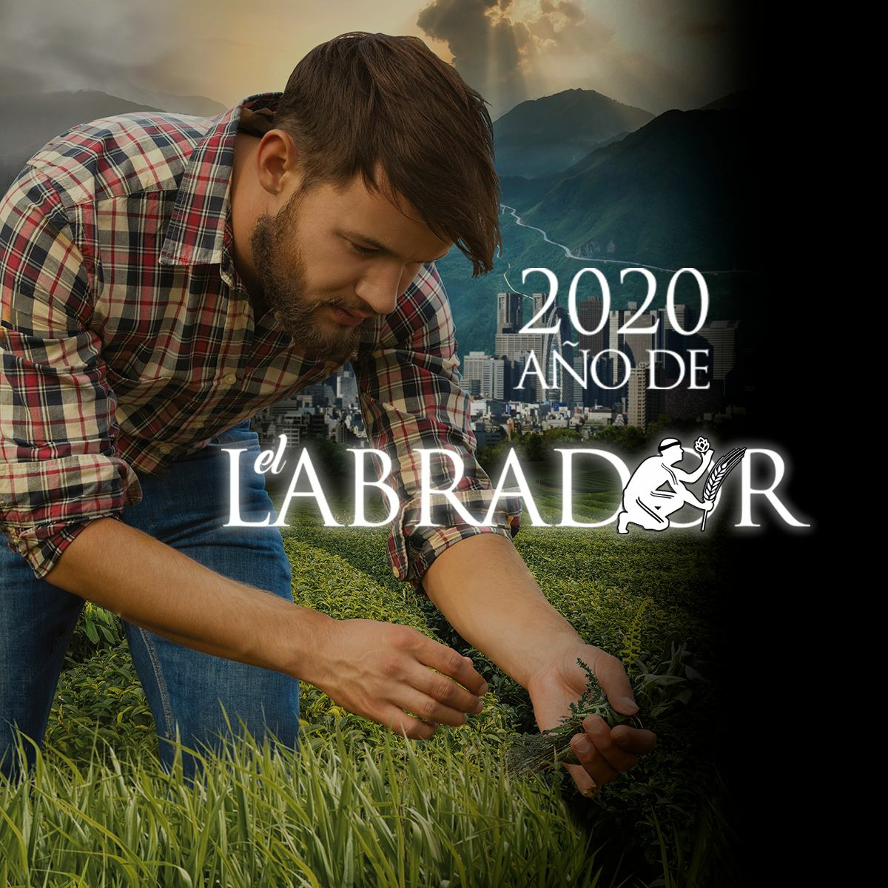 Serie El Labrador - Píldora 4 episode artwork