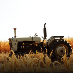 What would Donald do?