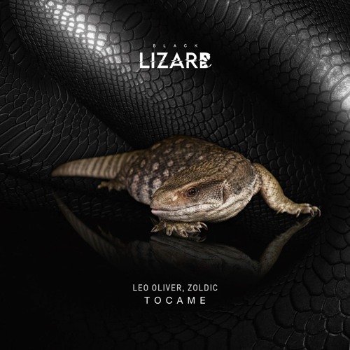 Leo Oliver, Zoldic - TOCAME