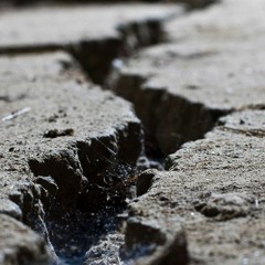 شباب 10 ريختر ! | د . محمد الشيخ | د . حازم شومان