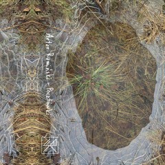 Artur Ruminski  - Stodoła