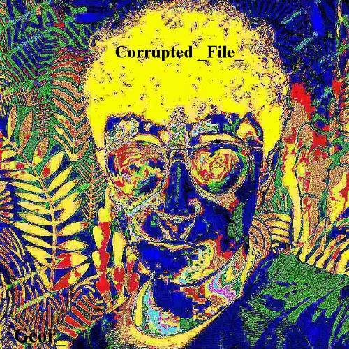 Corrupted_File_