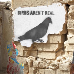 Birds Aren’t Real