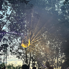 resonant rave: Schallschutzmaßnahme