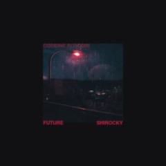 (NEW LINK FOR SPOTIFY) Future - Codeine Floodin (prod. by Shirocky)