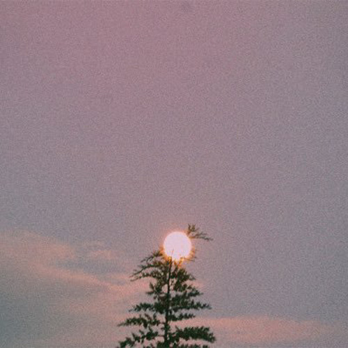 قُتِلَ الإنسَانُ ما أَكْفَرَهُ - ش. عكاشه كميني