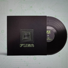 PVI records 2025