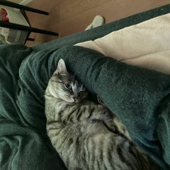 Please Tell Me(アンプラグド)