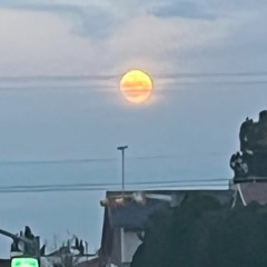 Twisted Palms ft. Almighh prod.OSVMA