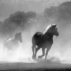 THE LITTLE POWER CASTLE