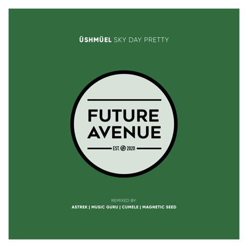 ÜSHMÜEL - Sky Day Pretty (Music Guru Remix) [Future Avenue]