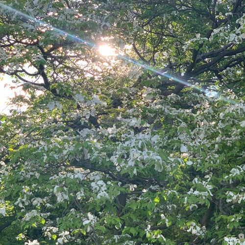 strap in life is horrible 「prod by. tenoji」