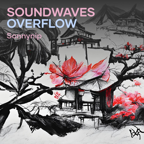 Soundwaves Overflow