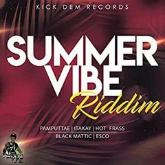 Summer Vibe Riddim Mix 2021 Pamputtae, Hot Frass, Esco, Itakay, Black Mattic [DJ Treasure]