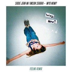 Sadie Jean & Anson Seabra - WYD Now? (FEELNG Remix)