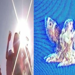 cold wind prod me