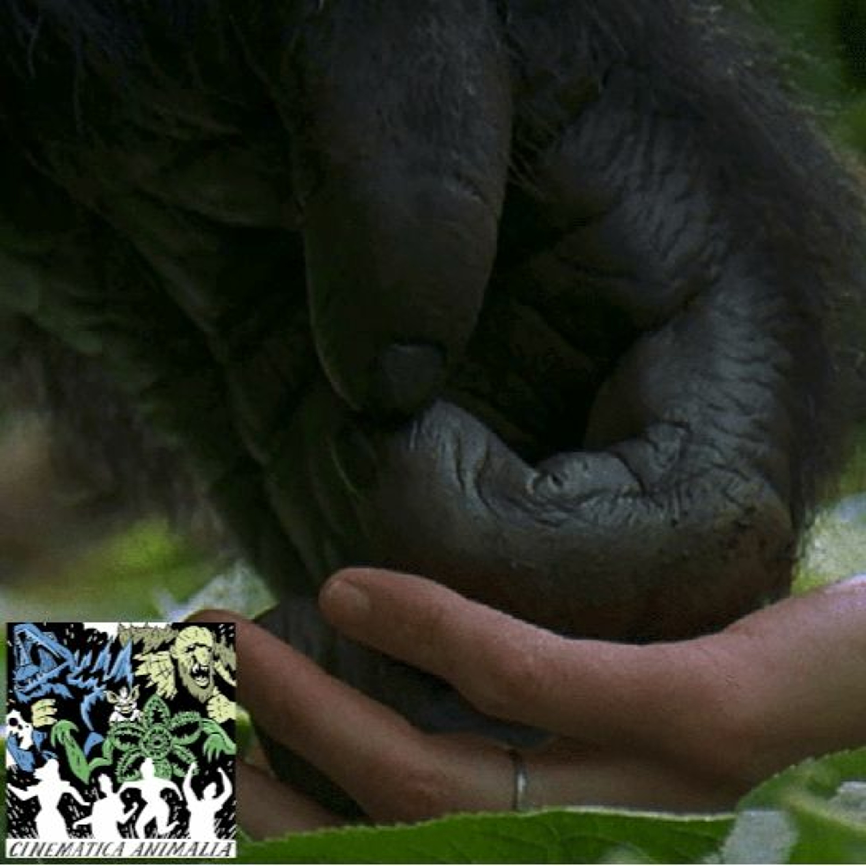 Cinematica Animalia