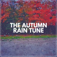 Calming Sounds of Rain, Pt. 5