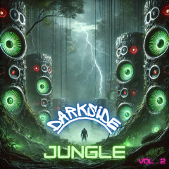 DarkSide Jungle Vol. 2 - Jungle / Drum & Bass / Rollers Mix