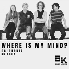 Pixies - Where Is My Mind | Calpurnia Cover + 3D Audio