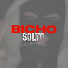 BICHO SOLTO - VERSÃO BH (DJ LUCAS MARTINS E DJ HM OLIVEIRA)