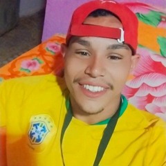 BRONZE NOVO - MC BIGODIN ( DJ KL MARTINS )