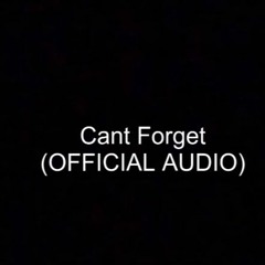 Cant Forget(OFFICIAL AUDIO)