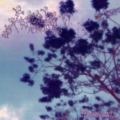 Jacaranda -  Anemoía