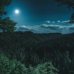 home (version 1.1)