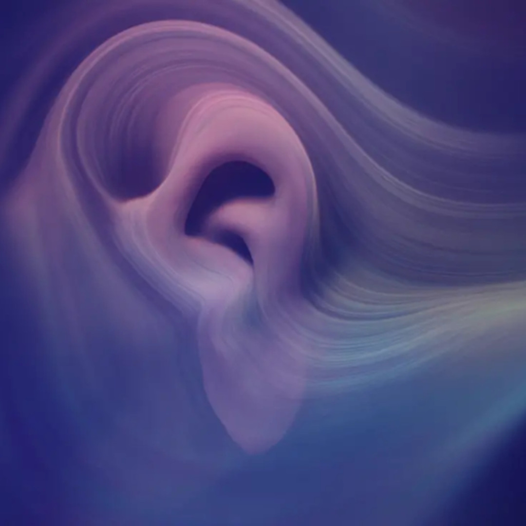 Stream Neural Rhythm Drift Suite, No. 1 by Adam R. Sweet | Listen ...