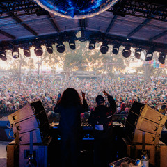 Wax'o Paradiso Meredith Sunrise 2025