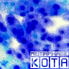 Metaphase - Lucid Kat Recordings