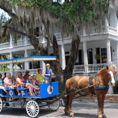 Review Special Price Beaufort’S #1 Horse & Carriage History Tour