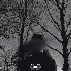 pigs on the wing (prod. TXCKA)