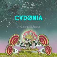 Cydonia producer set at ZNA Gathering 2022
