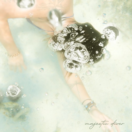 Manatee Commune - Majestic Diver