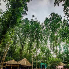 Battage - 5hr @ Paradigm Forest Stage