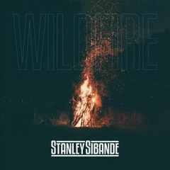 Stanley Sibande - Wildfire