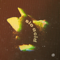 Slo Acid Mix