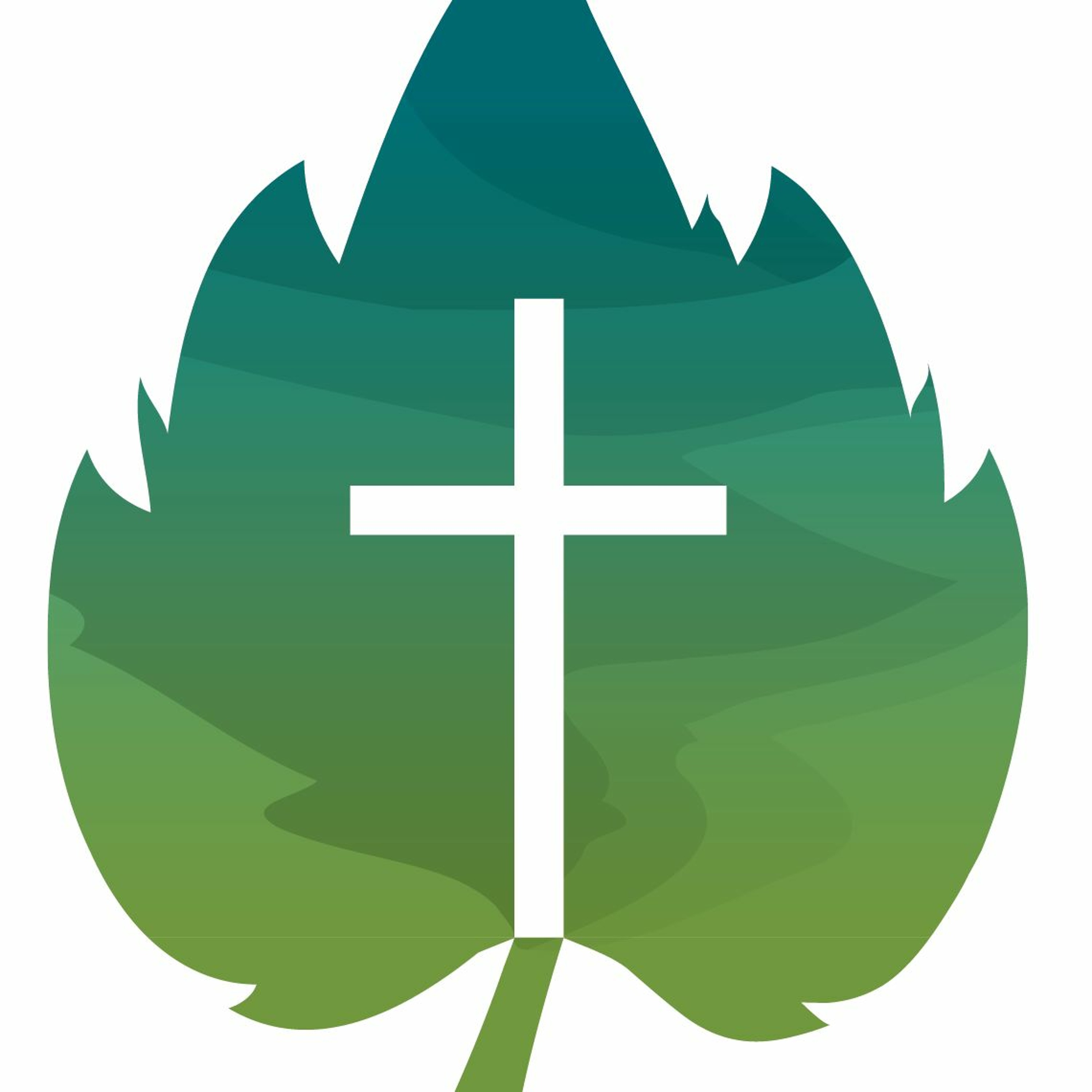 The Vine Baptist Church Sermons