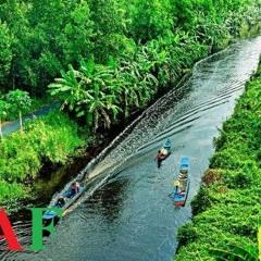 Dịch Vụ Kiểm Toán Bctc Uy Tín Tỉnh Cà Mau