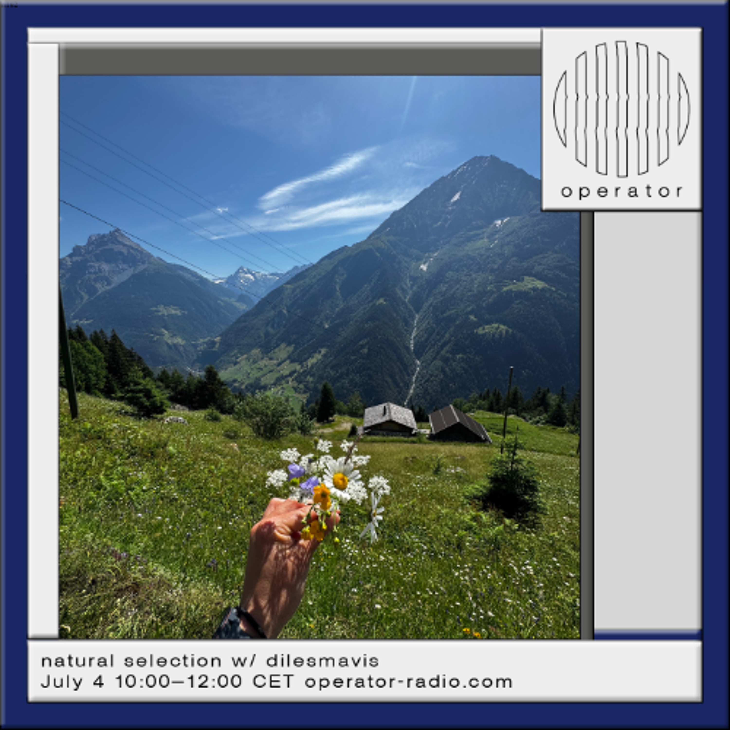 natural selection w/ dilesmavis - 4th July 2026 episode artwork