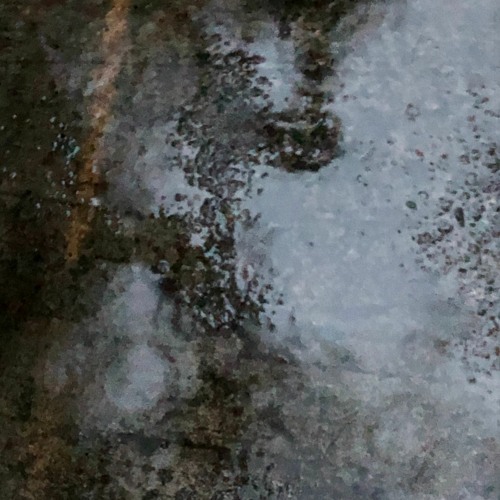 Monsoon Meditation