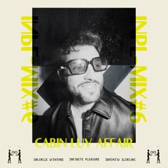 INPL-MIX #6 CABIN LUV AFFAIR